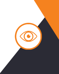 VISI