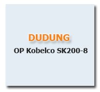 Dudung