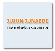 Jujun Junaedi